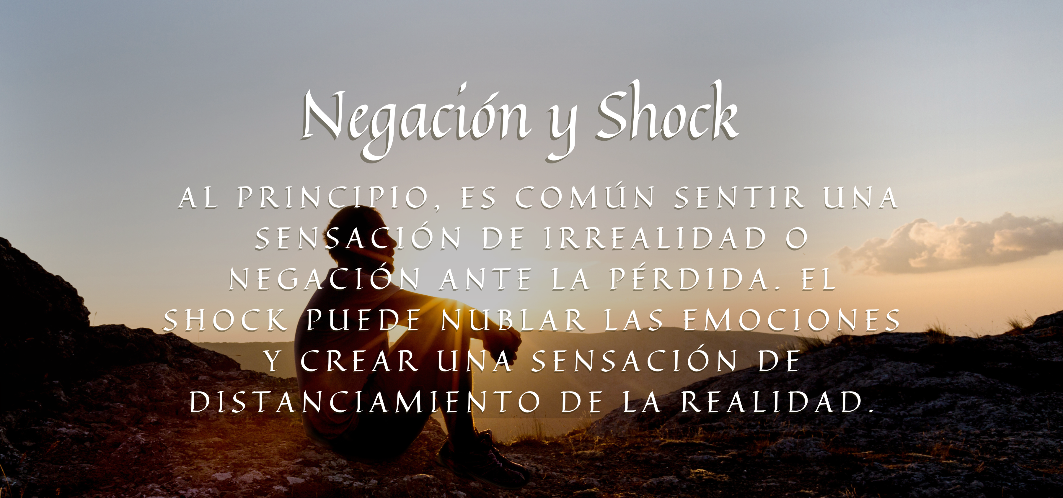 Banner Negación y Shock