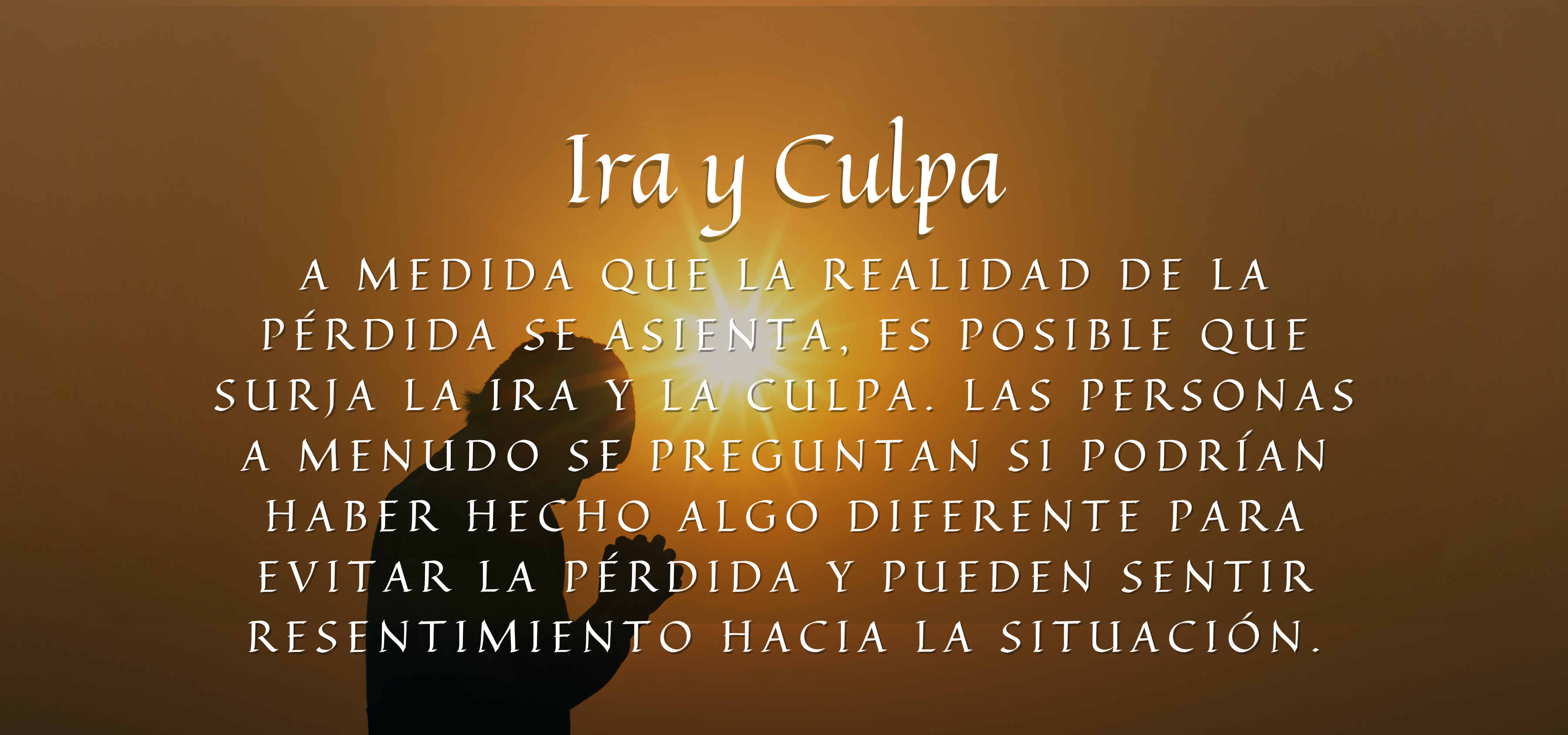 Banner Ira y Culpa