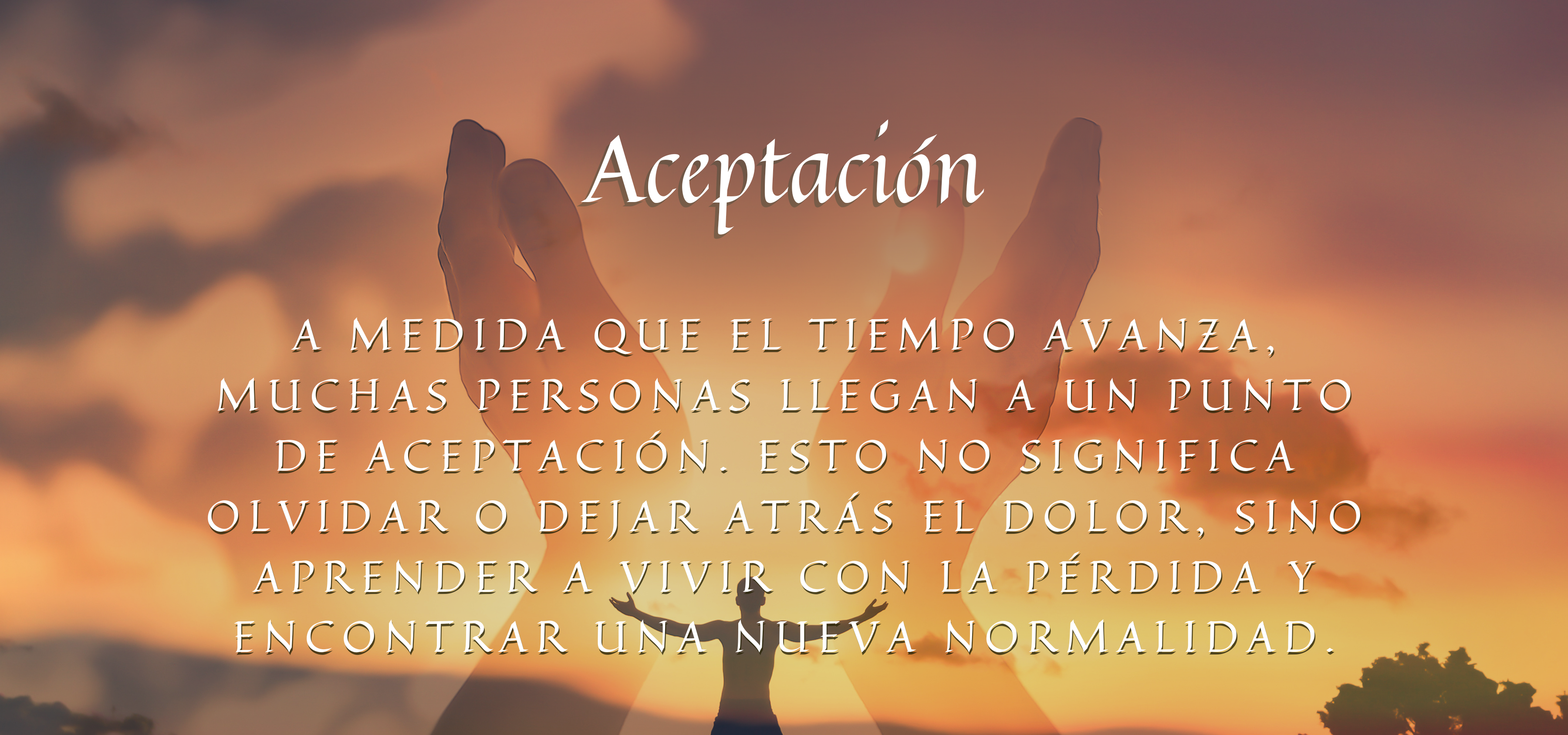 Banner Aceptación