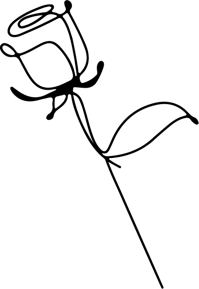 Rosa Rosa